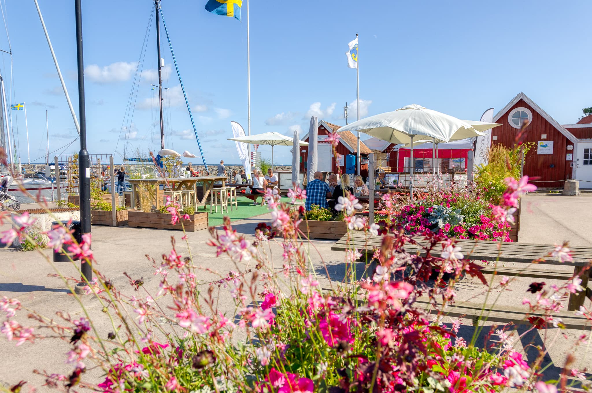 Uteserveringen vid hamnen i Kristianopel en sommardag